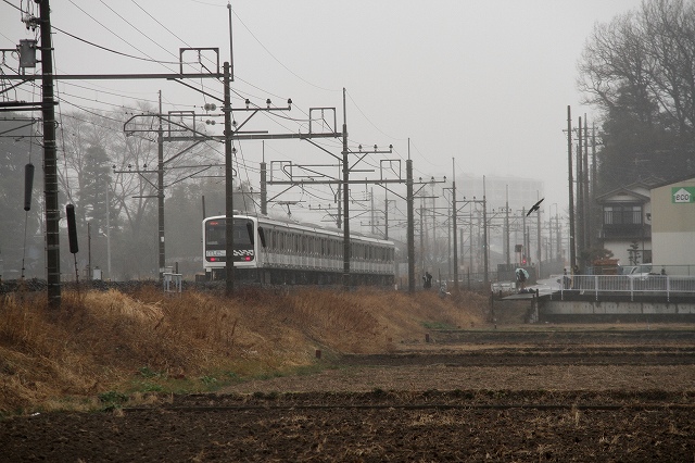 b0002858_34055.jpg