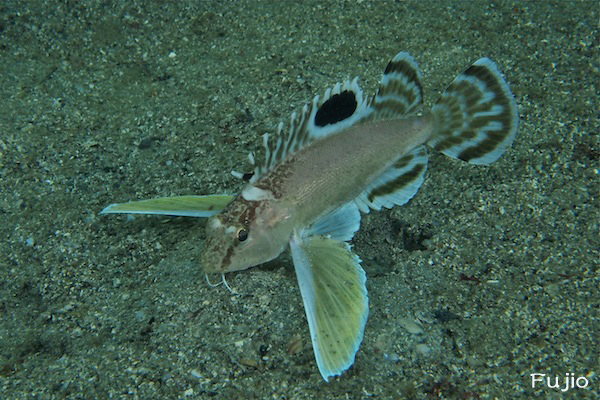 e0158261_551599.jpg