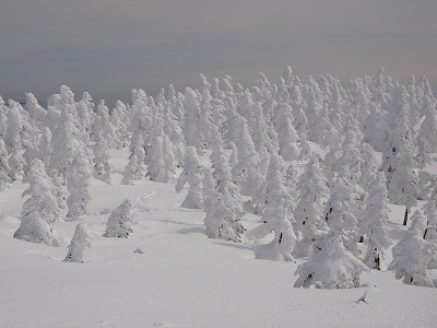 e0066062_144168.jpg