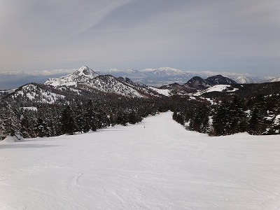 e0066062_2163935.jpg