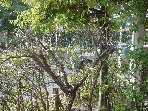 b0194872_222173.jpg