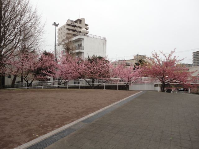 d0109373_9564848.jpg