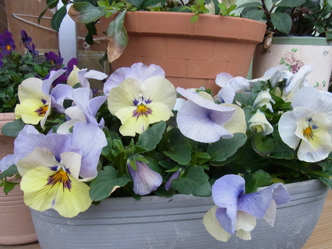 f0014980_18261396.jpg