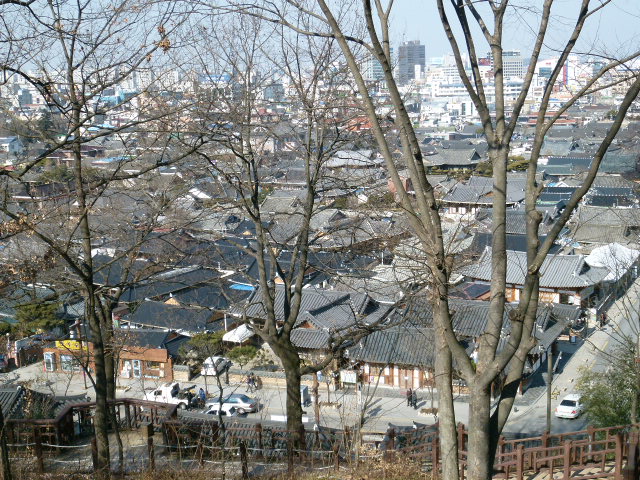 a0140305_1542454.jpg