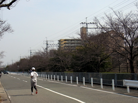 e0083517_0422948.jpg