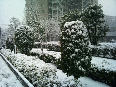 f0170417_10224376.jpg