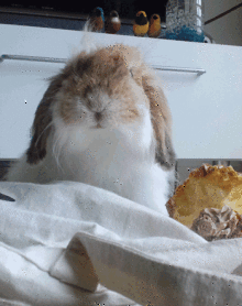 e0242030_13395452.gif