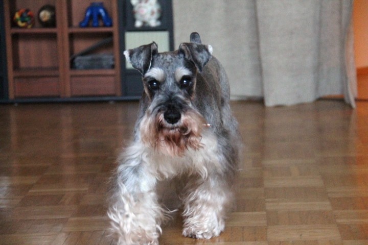 c0153740_0564139.jpg