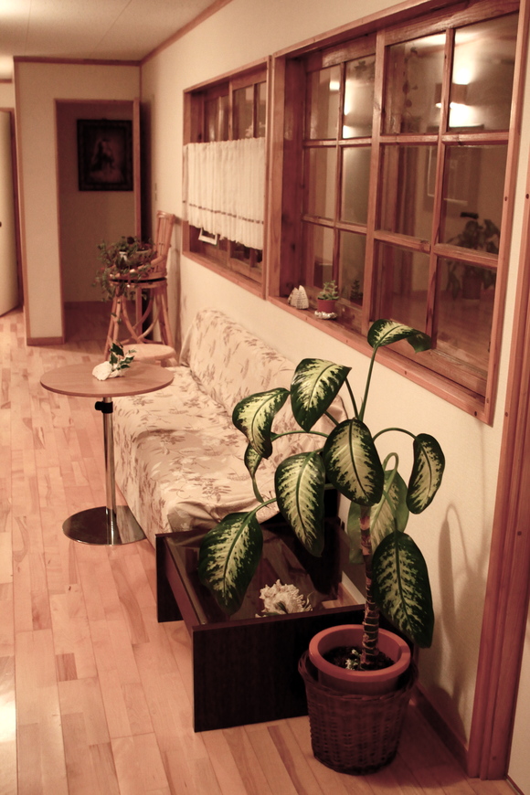 c0054141_14371779.jpg