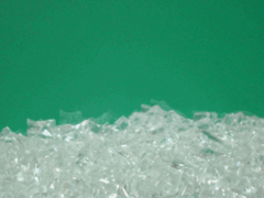 e0005548_23222155.gif