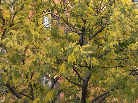 c0206352_021592.jpg
