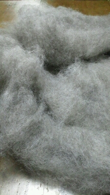 c0057781_18164099.jpg