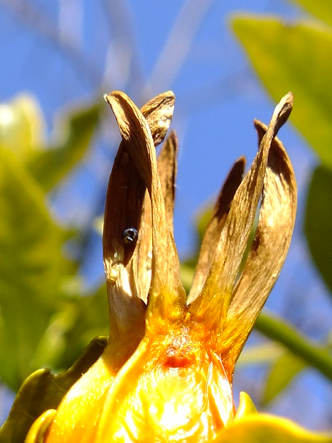 e0145782_20531068.jpg