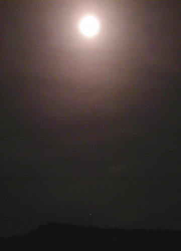 d0053294_0534352.jpg