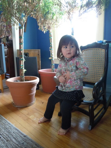 d0103098_123229.jpg