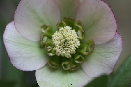 e0082098_21484193.jpg