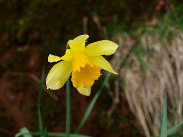 b0110999_034230.jpg