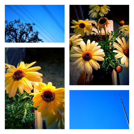 a0238703_21561690.png
