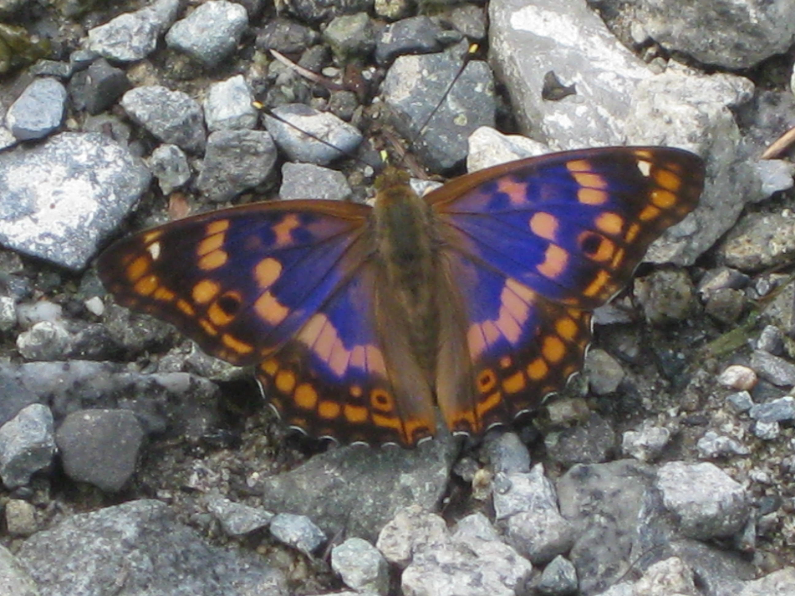 d0251807_172873.jpg