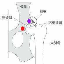 e0100007_21422523.jpg