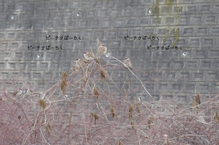 f0221708_20502019.jpg