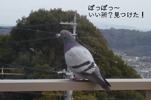 f0221708_21394080.jpg
