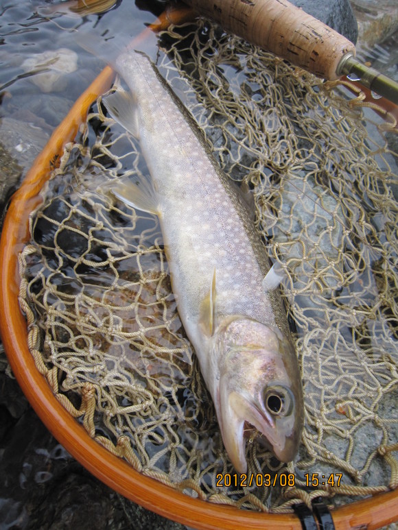 d0241509_9591047.jpg