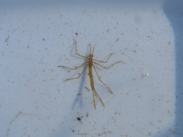 e0002314_23431119.jpg