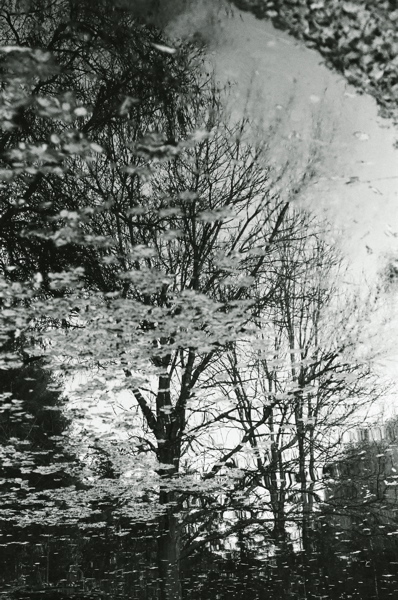 f0182924_21593396.jpg