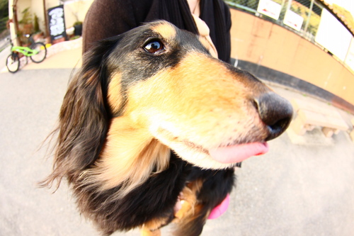 d0158028_18551495.jpg