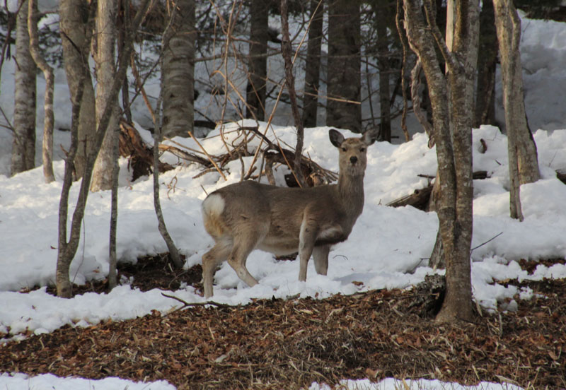 f0227228_015541.jpg