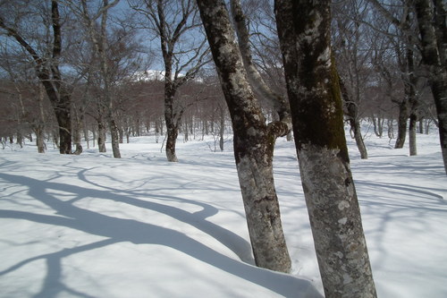 f0118332_23215458.jpg