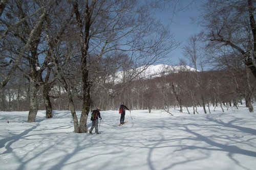f0118332_23221630.jpg