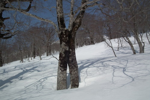 f0118332_23244091.jpg