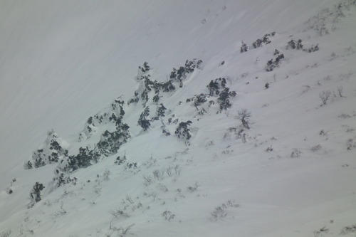 f0118332_2326255.jpg
