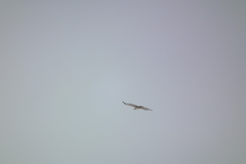 f0118332_23265860.jpg