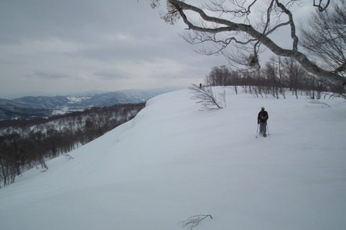 f0118332_2335471.jpg