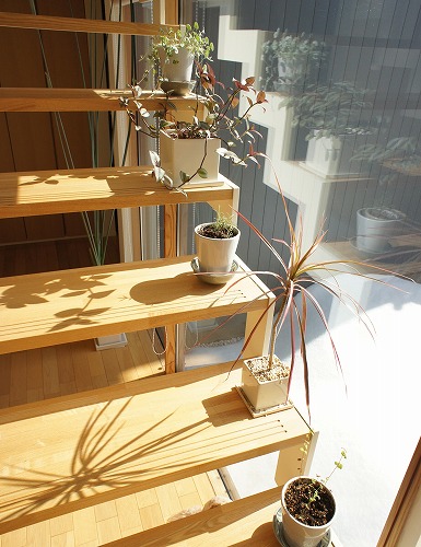 f0205733_2149155.jpg