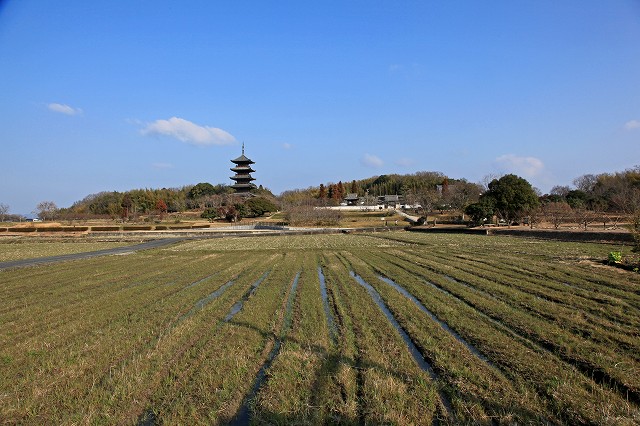 a0242438_1762431.jpg