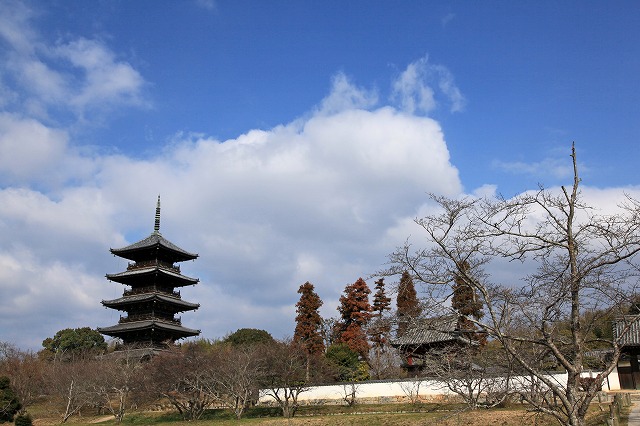 a0242438_1772445.jpg