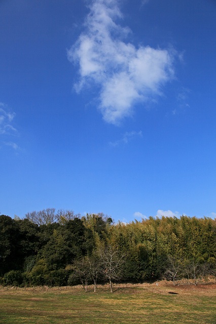 a0242438_17826100.jpg