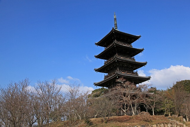 a0242438_1785420.jpg
