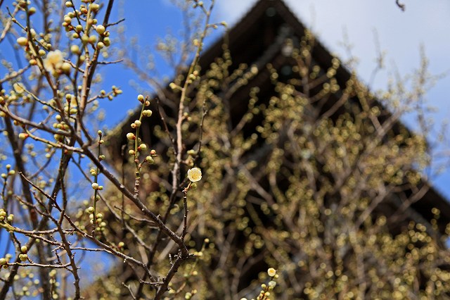 a0242438_179021.jpg