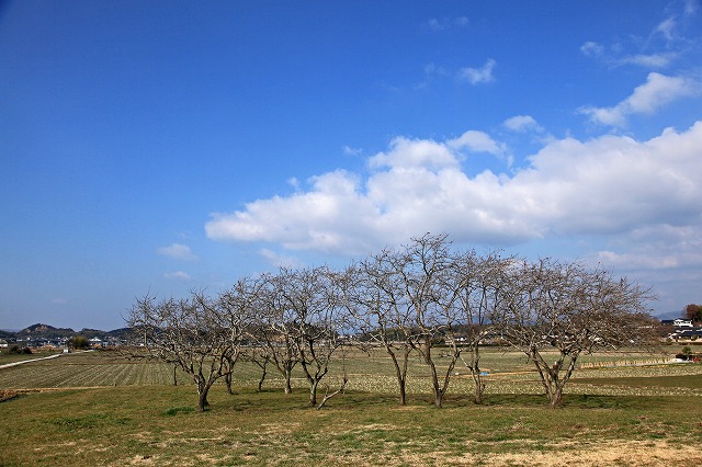 a0242438_1791994.jpg