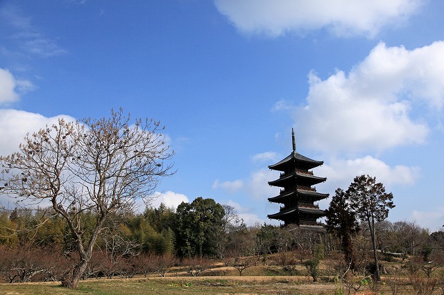a0242438_179262.jpg
