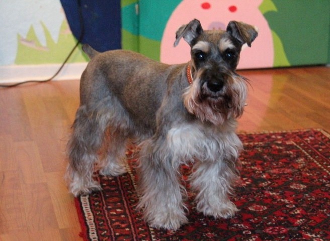 c0153740_1402210.jpg
