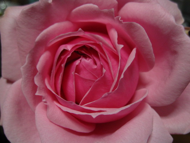 b0097747_124626100.jpg