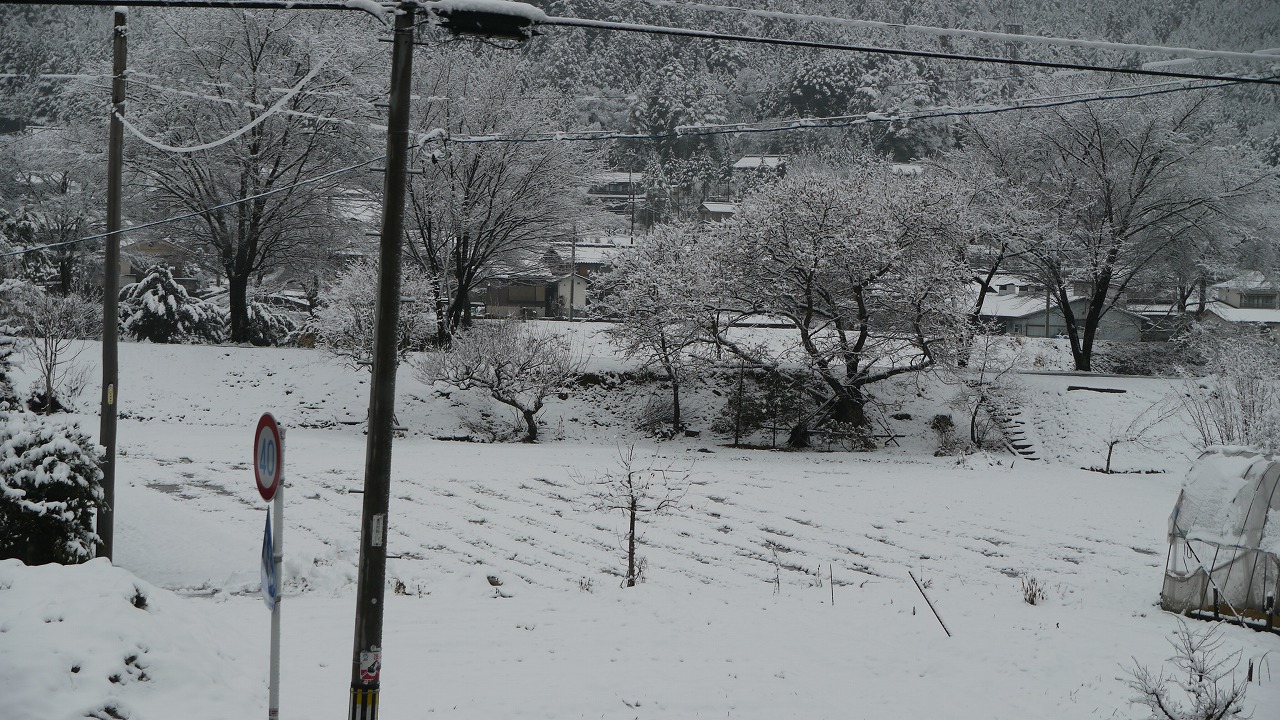 c0220047_9303071.jpg