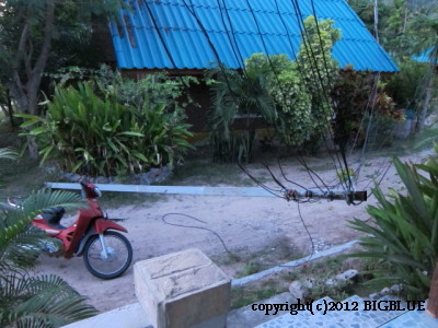 e0027447_1732849.jpg