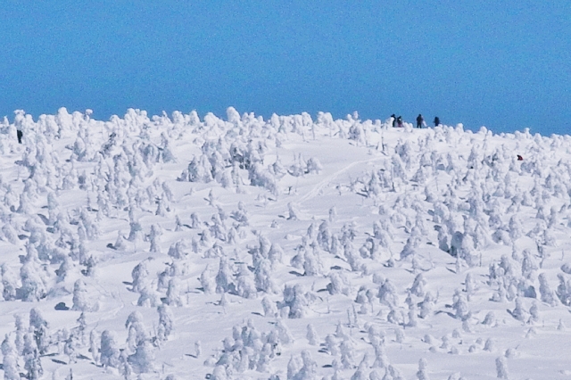 b0122448_1042077.jpg
